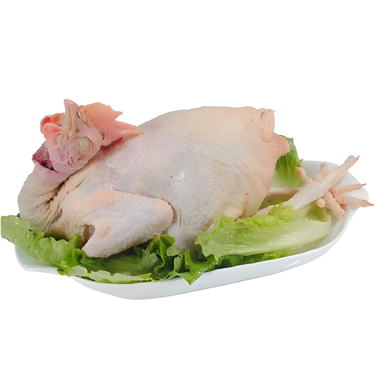 三黄鸡约1.25kg/只