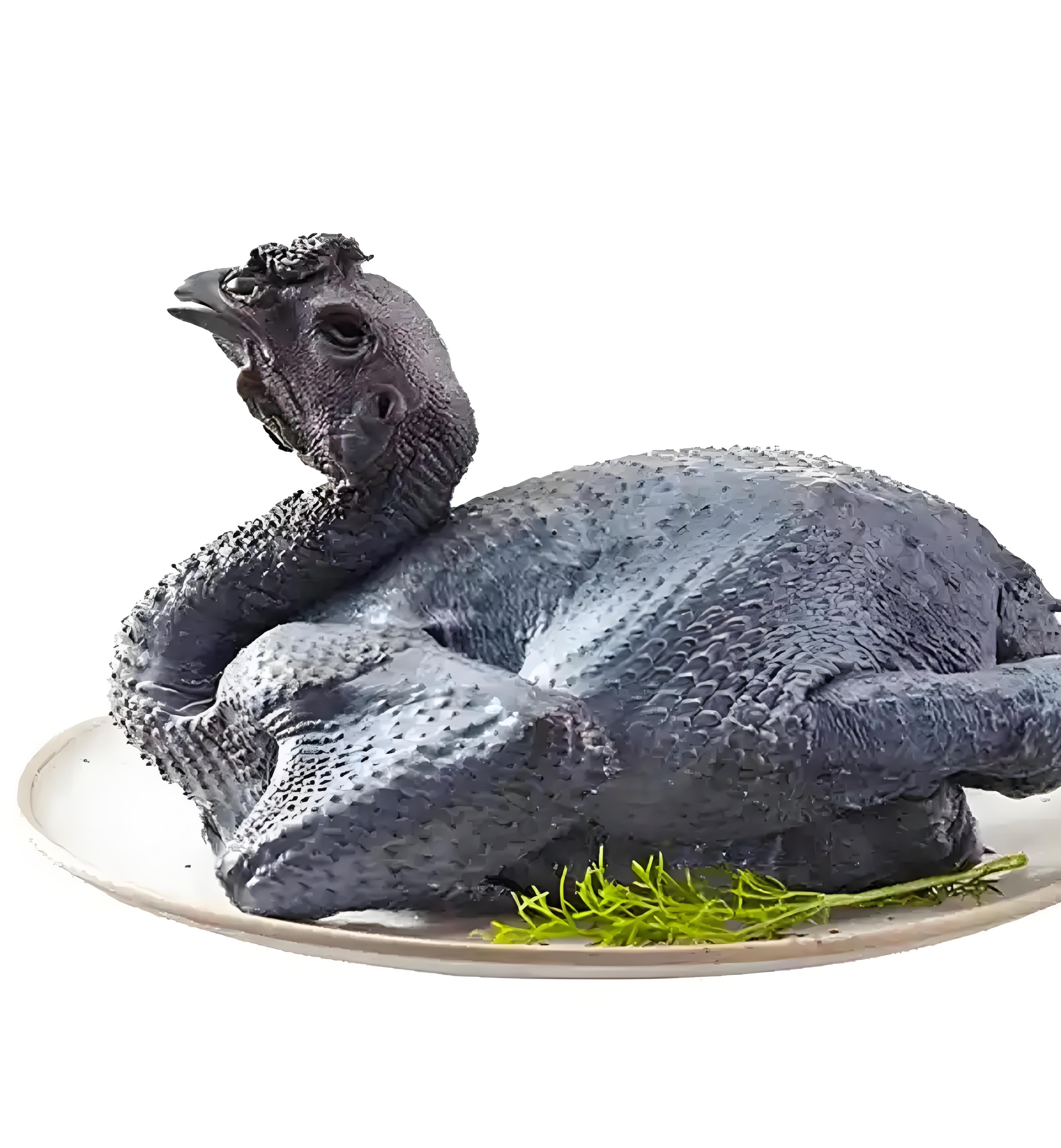 乌鸡  约1.6kg/只